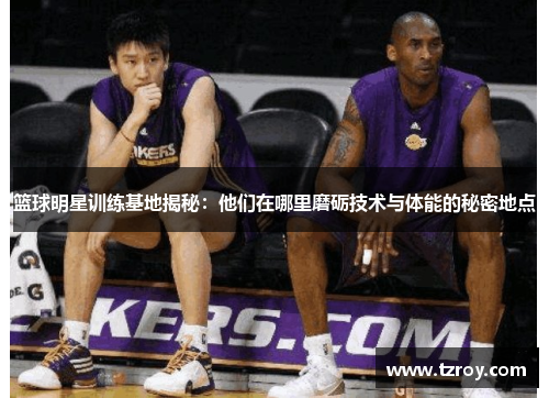 篮球明星训练基地揭秘：他们在哪里磨砺技术与体能的秘密地点